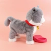 A grey electric plush kitten, playing and singing with you in summer, recording interesting stories while enjoying the cool, and being cute and licking its PAWS to wash its face details Picture